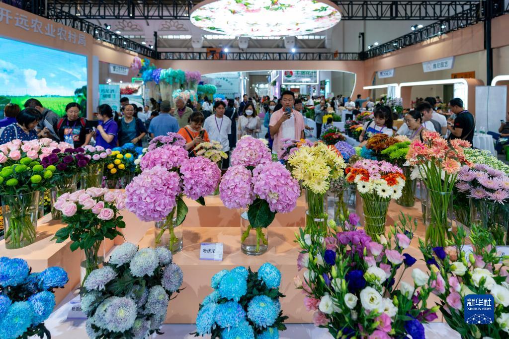 捕鱼大师免广告